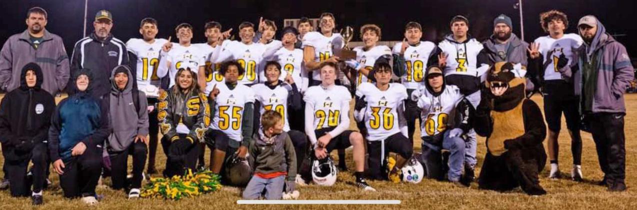 Wolverines capture district 3-1A title