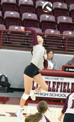 JULIE BOWNDS - Littlefield Lady Cats