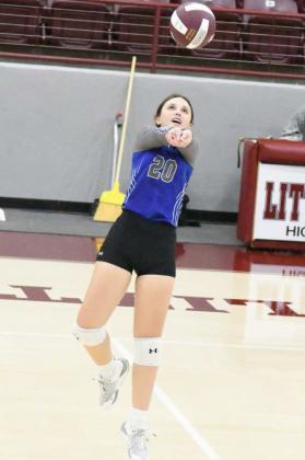 ASPEN STRUVE - Olton Fillies