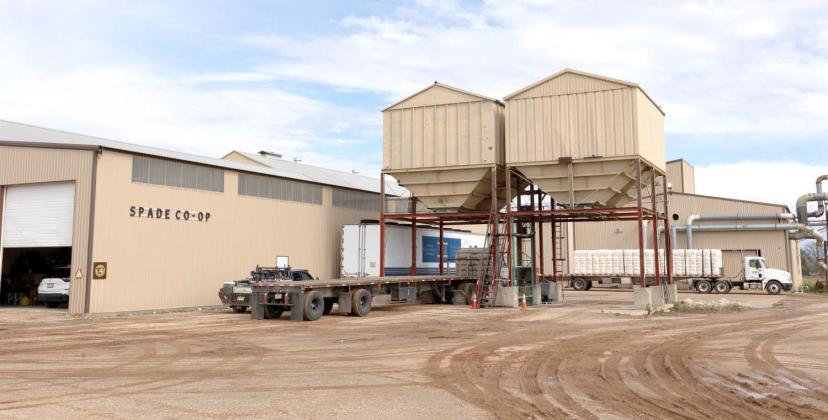 Cotton season is underway at the Spade Co-Op Gin in Littlefield on Nov. 3, 2024. As of Friday, Nov. 15 the gin reported 8,300 bales. (Staff Photo by Rhode Duenas)