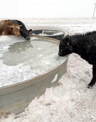 Battling through the winter storm