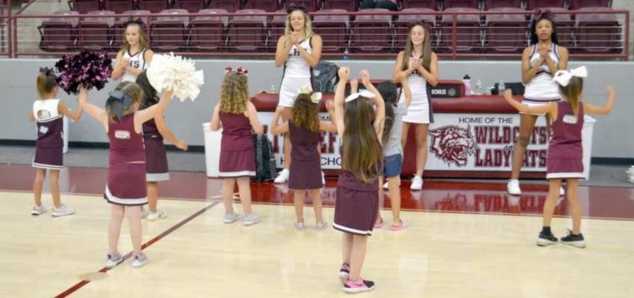 LFD. MINI CHEER CAMP