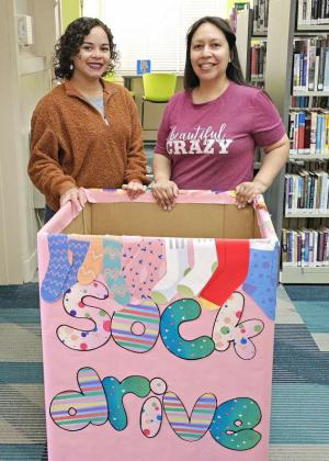 Lamb County Libraries