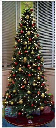 Christmas on the Square and Library Open House
