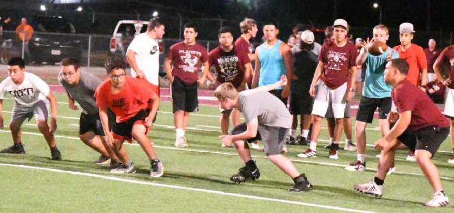 Park Practice 2021 under the lights