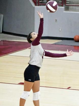 CALI SALDANA - Littlefield Lady Cats