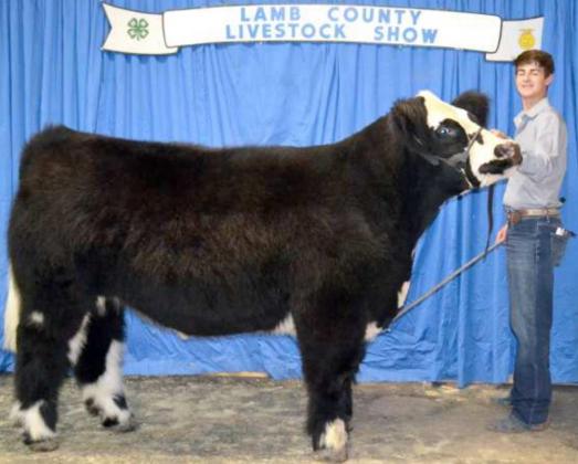 County-Wide Livestock Show Reserve Grand Champions