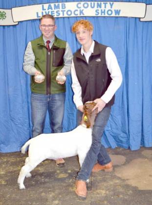 County-Wide Livestock Show Reserve Grand Champions
