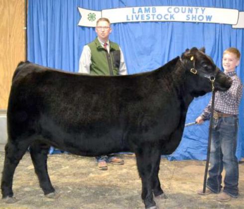 County-Wide Livestock Show Reserve Grand Champions