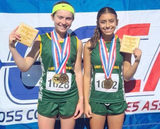 Lady Wolverines place third at state XC Meet