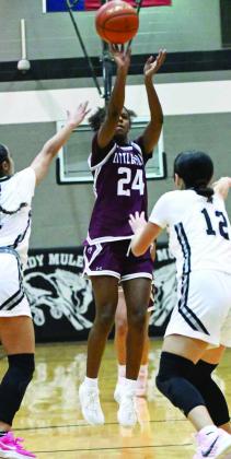 AMONI JEFFERSON - Littlefield Lady Cats