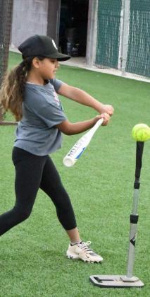 LADY CAT SUMMER SOFTBALL CAMP 2022