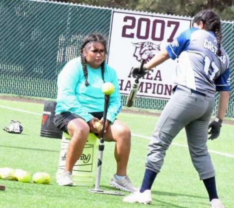 LADY CAT SUMMER SOFTBALL CAMP 2022