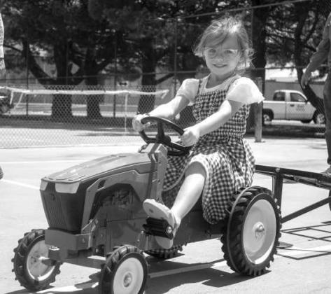 The Great Amherst Tractor Pull