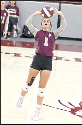 BRYNDLE RAY - Littlefield Lady Cats