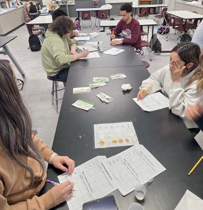 On May 1 the Forensic Science students participated in a Forensic Toxicology Lab. Using harmless substances like sugar, baking soda, and corn starch as stand-ins for known “drugs,” they tested these with specific reagents to try to identify which suspect was present at the “crime scene.” The students were fascinated by the various chemical reactions that occurred with each specimen. These types of tests are routinely performed by forensic toxicologists to help solve crimes. (Submitted Photos)