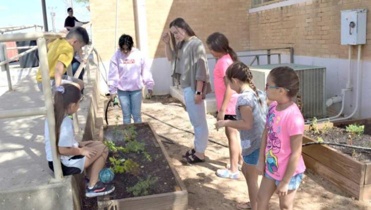 Library hosts “Creative Sprouts” during July