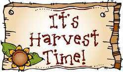 Texas High Plains Harvest Aid Considerations