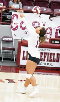 KAELEIGH LOGAN - Littlefield Lady Cats