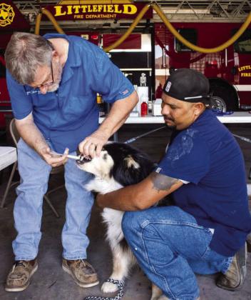 Dr. Jason Schroeder and Ricardo Rios administer vaccines at the Littlefield Area Rabies Clinic on June 13, 2026. (Photos by Madison Vidales)