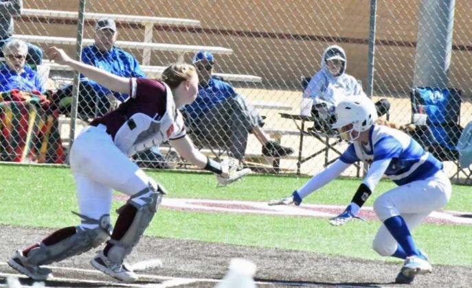 TARYN GOLDEN - Littlefield Lady Cats