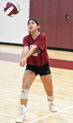Lady Cats begin two-a-days as 2025 season gets underway