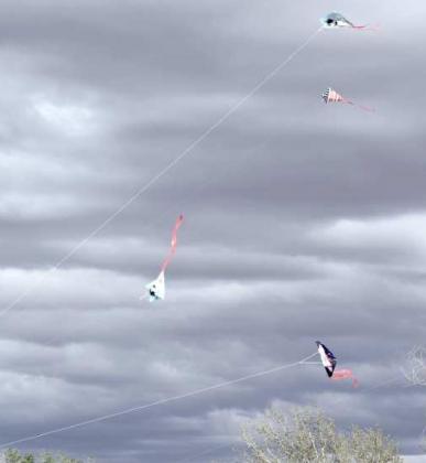 Littlefield Primary Kite Nite
