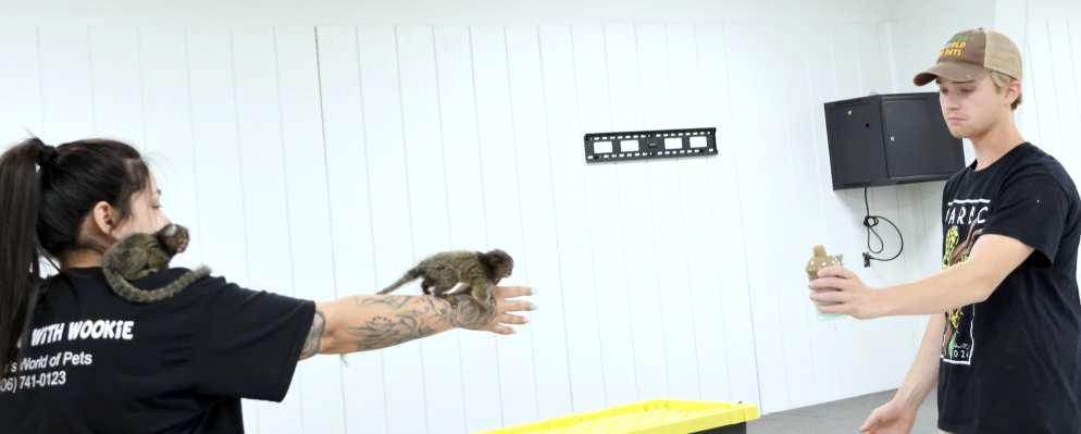 Anissa Escandon and Tyler Lloyd from Walter’s World of Pets delighted the young participants of the Lamb Co Library Summer Reading event with this pair of Marmosets which is the smallest species of monkey in the world. (Photo by Ann Reagan)