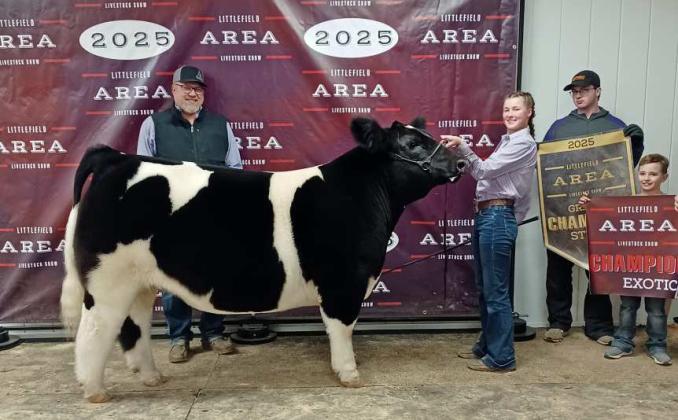 Kauy Carr of Sudan 4-H brought home Grand Champion Steer on Thursday at the 2025 Littlefield Junior Area Livestock Show at the Lamb County Ag Center in Littlefield. The steers were judged by Matt Popelka. (Staff Photo by Grata Reber)