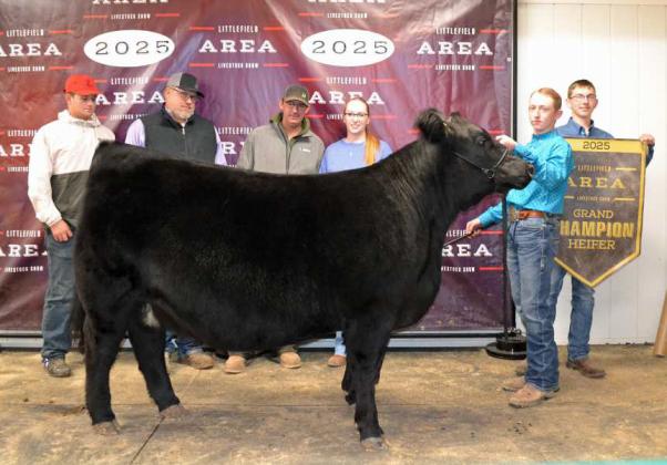 Ryan Muller of Littlefield 4-H brought home Grand Champion Heifer on Thursday at the 2025 Littlefield Junior Area Livestock Show at the Lamb County Ag Center in Littlefield. The heifers were judged by Matt Popelka. (Staff Photo by Grata Reber)