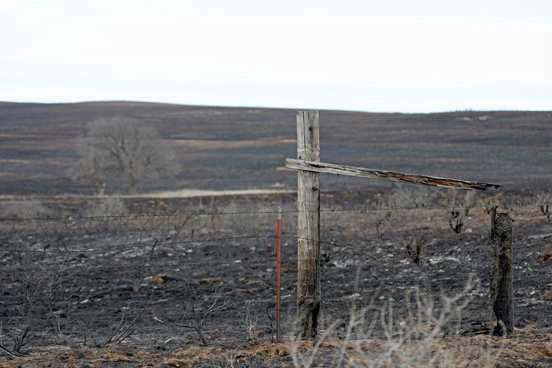 Hay, feed, fencing supplies encing suppliesencing supplies needed to suppor needed to supporneeded to support Texas Panhandle wildf anhandle wildfanhandle wildfire victims e victimse victims