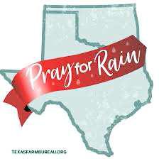 Hay, feed, fencing supplies encing suppliesencing supplies needed to suppor needed to supporneeded to support Texas Panhandle wildf anhandle wildfanhandle wildfire victims e victimse victims
