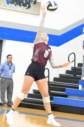 Lady Cats in action
