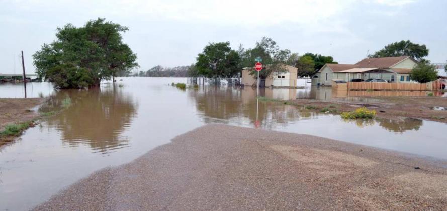 Rains beneficial to all of Lamb County
