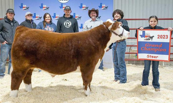 ZAYDEN FALCON - Grand Champion Steer
