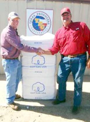 Cotton Industry Awards