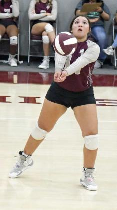 ALEX HERNANDEZ - Littlefield Lady Cats