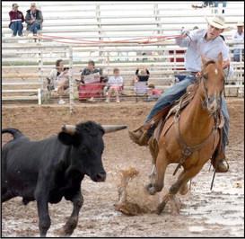 This Junior Team is not going to let a little puddle knock them out of the branding competition at the WCRA Rodeo held in Earth, Texas on Saturday, September 16, 2023.