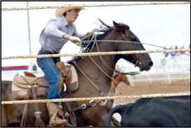 This Junior Team member has his loop on his steer and he is not going to let a fence keep him from getting it in position for the branding competition at the WCRA Junior Rodeo.