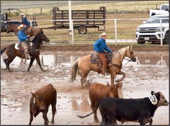 These youngsters successfully completed their Sorting task under muddy conditions at the WCRA Rodeo in Earth, Texas.