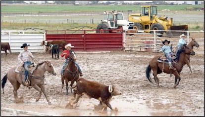 This young team of competitors successfully sort the first steer during the sorting competition at the WCRA Jr. Rodeo in Earth, Texas on Saturday, September 16, 2023.