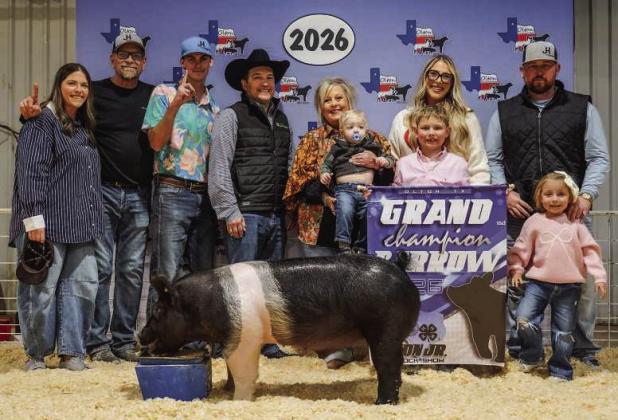 Slayde Harriss of Olton FFA, Grand Champion Barrow