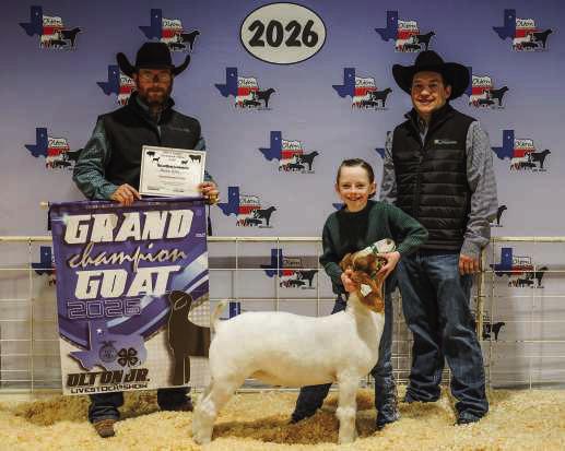 Reeslyn Riney of Olton 4-H, Grand Champion Goat