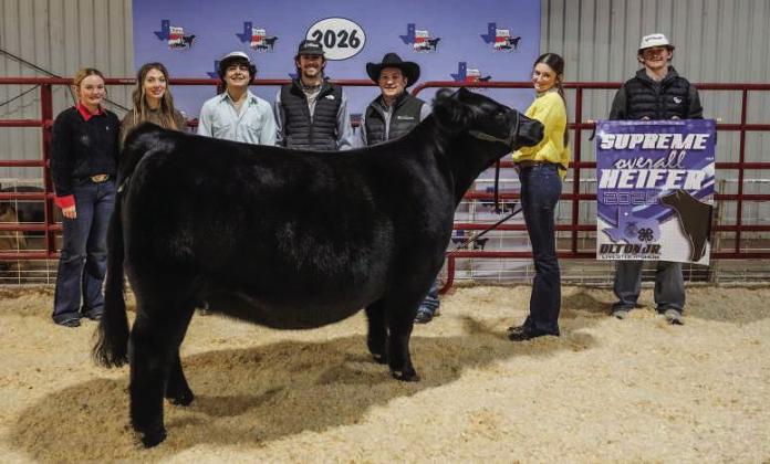 Makenzie DeBerry of Olton 4-H, Supreme Overall Heifer