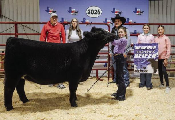 Beckett DeBerry of Olton 4-H, Reserve Grand Supreme Heifer