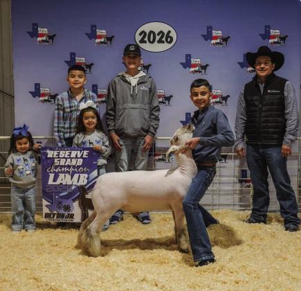 Jadyn Vega of Olton FFA, Reserve Grand Chanpion Lamb