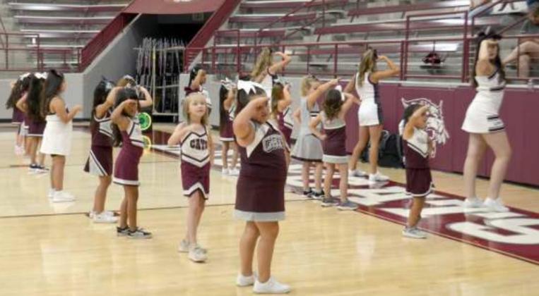 littlefield mini cheer camp session 2