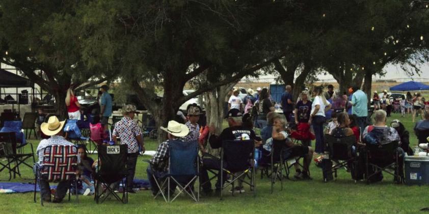 July 4th Party in the Park