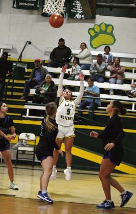 JESSICA MENDOZA - S-E Lady Wolverines
