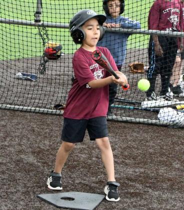 Wildcat baseball camp wraps up Thurs.